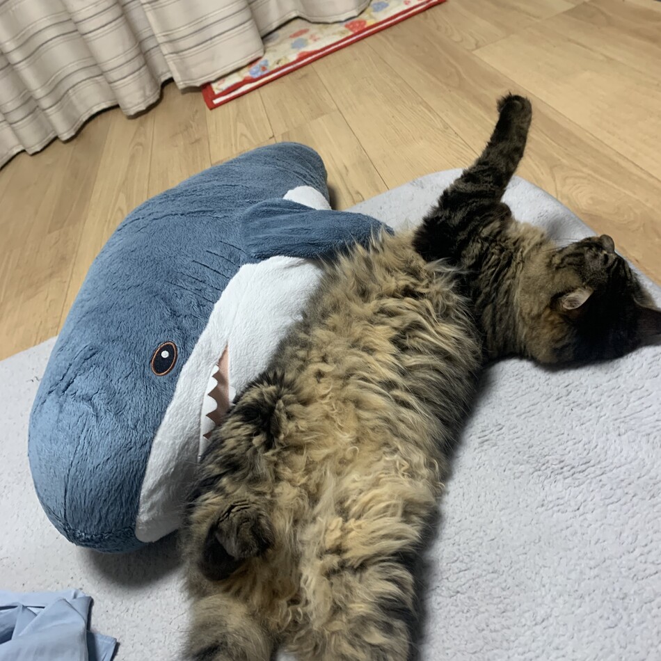 くー 助のカバー写真