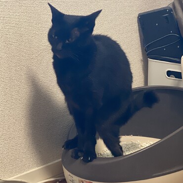 真剣な顔