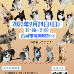保護犬猫☺︎譲渡会@古河市