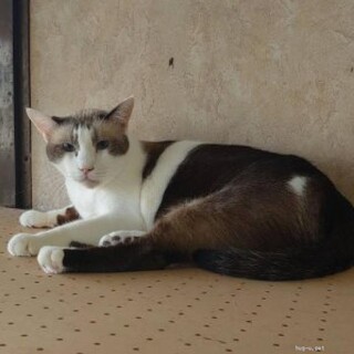 頼れる存在　ラグ君