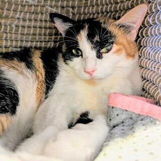 ゆっくりでいいよ♡ころもちゃん