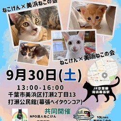 コラボ譲渡会 サムネイル1