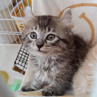 『まりも』の周りは笑顔がいっぱい♡２ヵ月