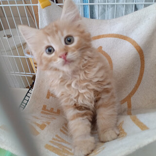 『こはく』の周りは笑顔がいっぱい♡２ヵ月