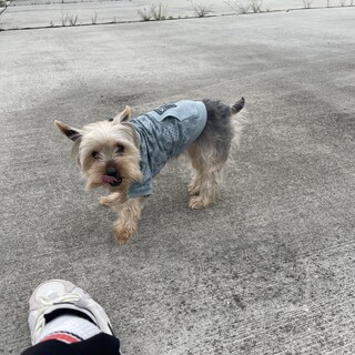 大切に育ててくれる方