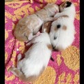 ご応募ありがとうございました！