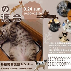 猫の譲渡会