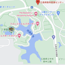 猫の譲渡会 サムネイル2