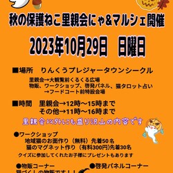 秋の保護ねこ里親会にゃ&マルシェ@りんくうシークル