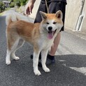 素敵なご縁をいただきありがとうございました。
