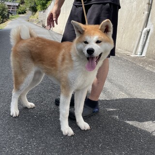 素敵なご縁をいただきありがとうございました。