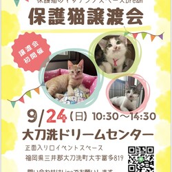【大刀洗町⌘猫譲渡会】保護猫と家族のマッチングスペースDreams