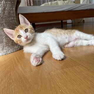 おっとりそらくん☆生後2ヶ月