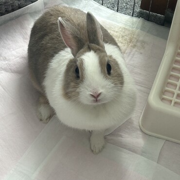 の写真