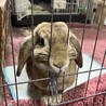 の写真