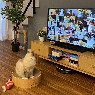 の写真