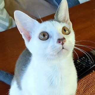 マイペースな甘えん坊くん♪