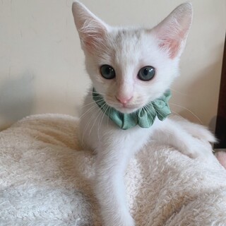 マイペースなアンくん♡