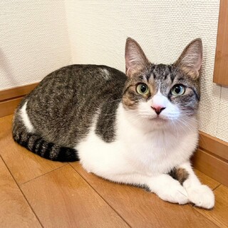 控えめ女子★うーちゃん