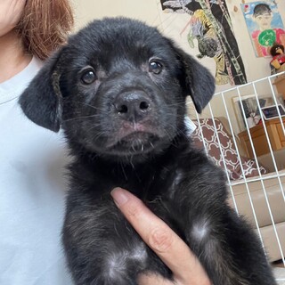  千乃(ちの)　家族が出来ました！