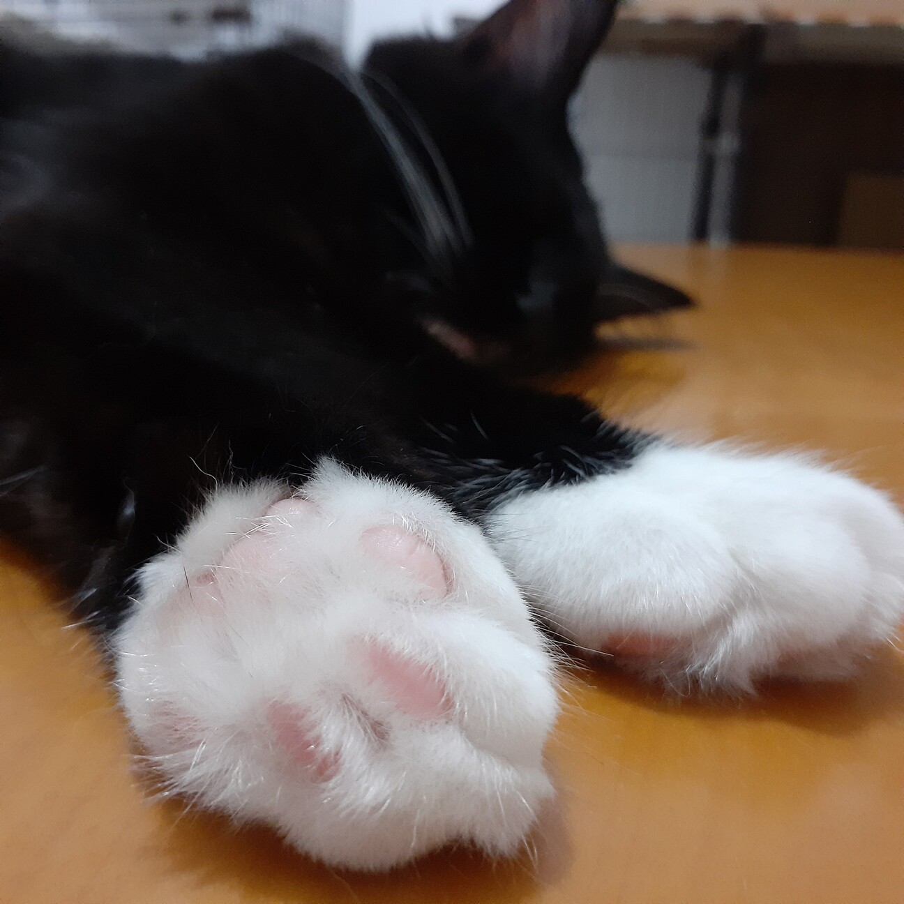 素敵なご縁に結ばれました♡ サムネイル4