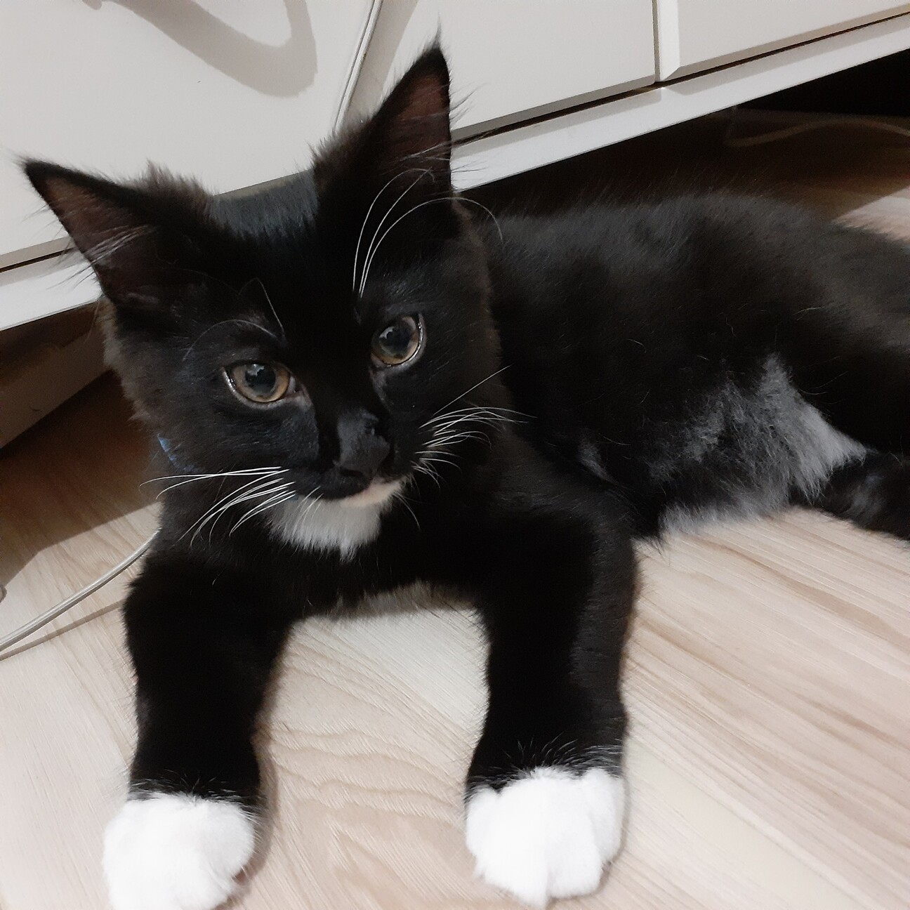 素敵なご縁に結ばれました♡ サムネイル3