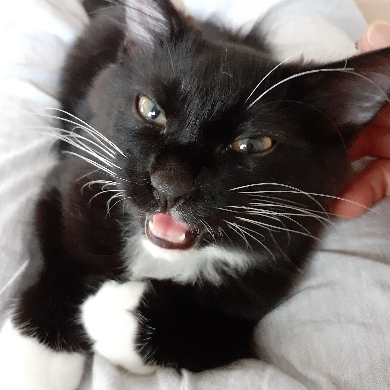 素敵なご縁に結ばれました♡ サムネイル2