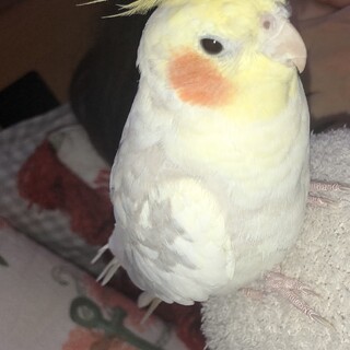 ご応募ありがとうございました。