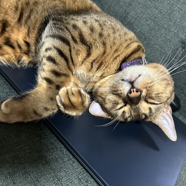 の写真