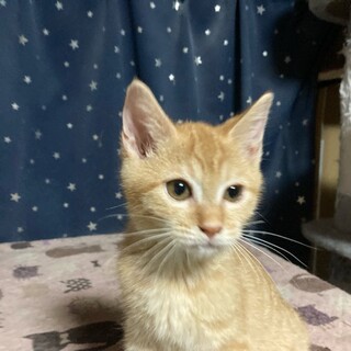 活発な男の子、なぎです！！