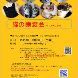 9月30日　猫の譲渡会　by にゃんころ隊