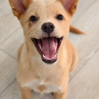 かわいいデニーくん❤️