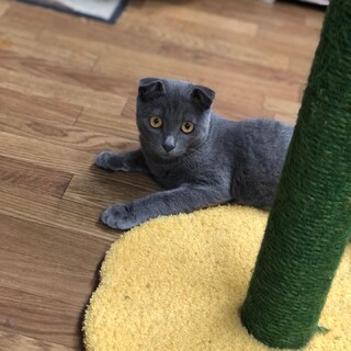 とっても綺麗な子です♡