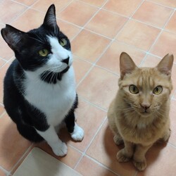 真剣さが足りない浩太君