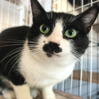 我はぽてぞーなり！