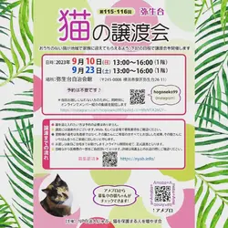 弥生台　猫の譲渡会