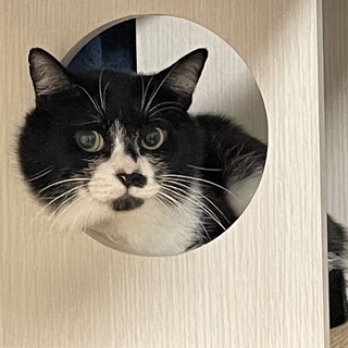 心優しきコミカルフェイス！タマオ