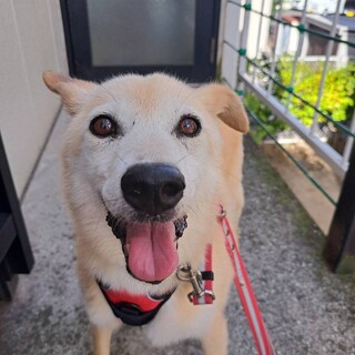 食べること大好き！！【カプ】ちゃん