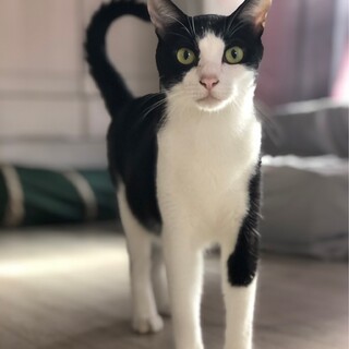 イケメン朝日くん