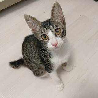 タキシードは長袖です(^^)
