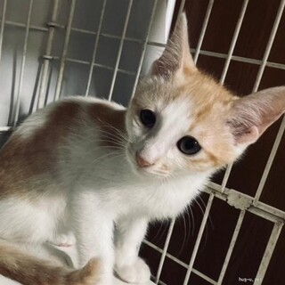 遊ぶのだいすき　やまとくん