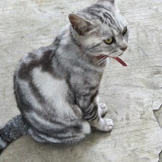 元気なユメちゃん