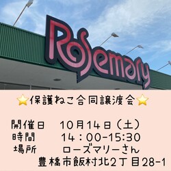 保護ねこ合同譲渡会