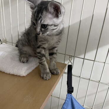 の写真