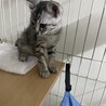 の写真