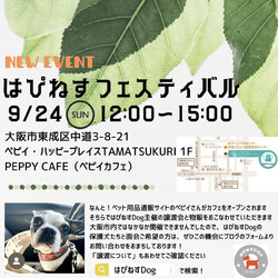 はぴねすフェスティバル
