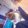 急なデレはでかわいすぎてしんど