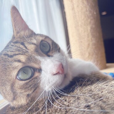 の写真