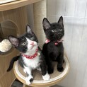 人見知りなし！元気で明るい男の子