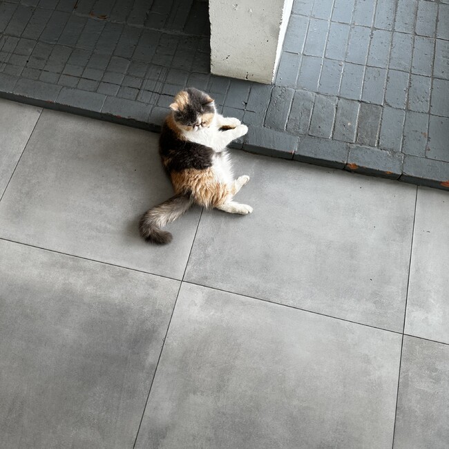 Yumazingのカバー写真